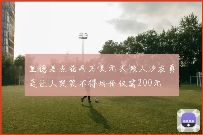 里德差点花两万美元买懒人沙发真是让人哭笑不得均价仅需200元